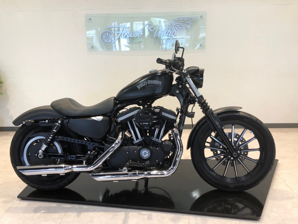 2012年式のXL833Nのカスタム